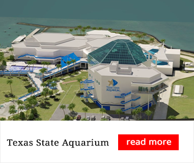 Texas State Aquarium